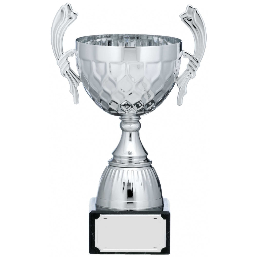 Silver Patterned Cup Trophy