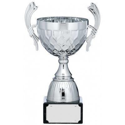 Silver Patterned Cup Trophy