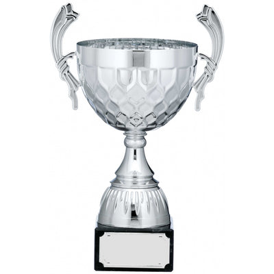 Silver Patterned Cup Trophy