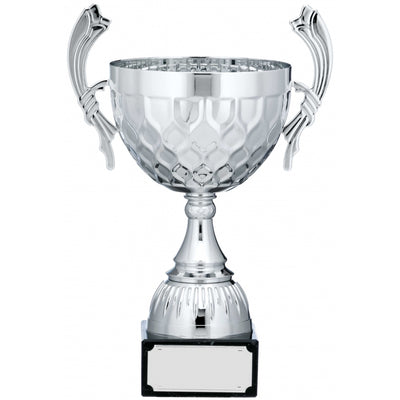 Silver Patterned Cup Trophy