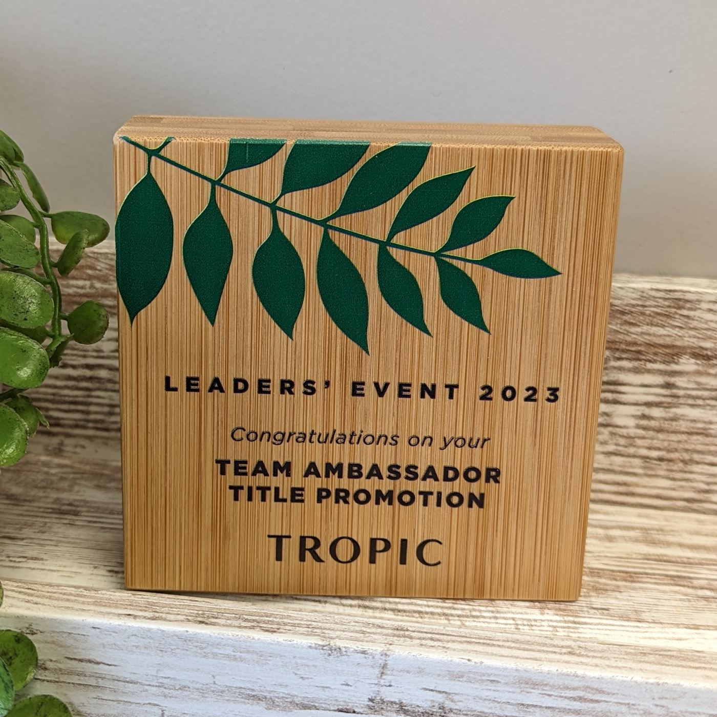 Bamboo Wooden Block Award - Small - Colour Printed