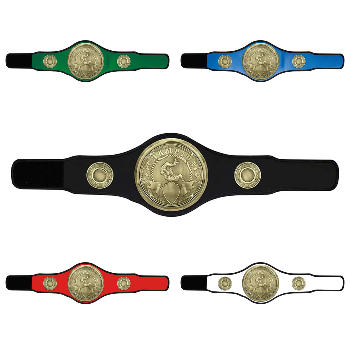 Judo/Jujitsu Champion Belt Award