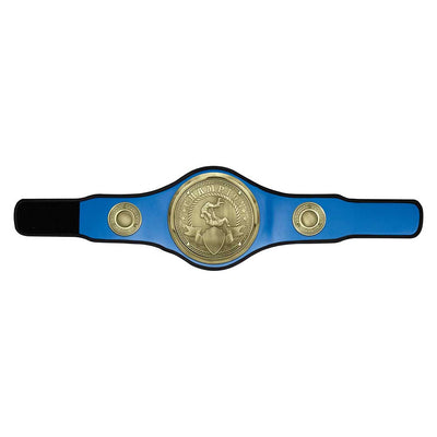 Judo Jujitsu Champion Belt Award