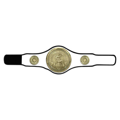 Judo Jujitsu Champion Belt Award