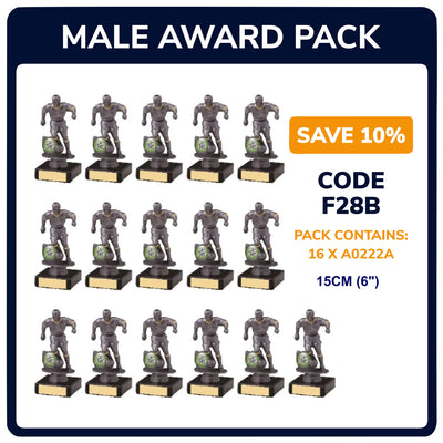 Mens Football Silver Trophies Awards - Pack of 16