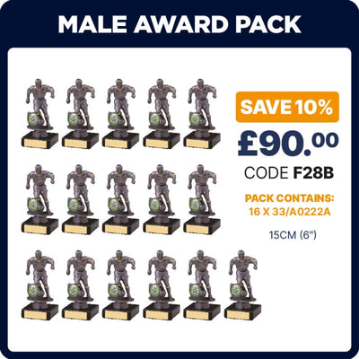 Mens Football Silver Trophies Awards - Pack of 16