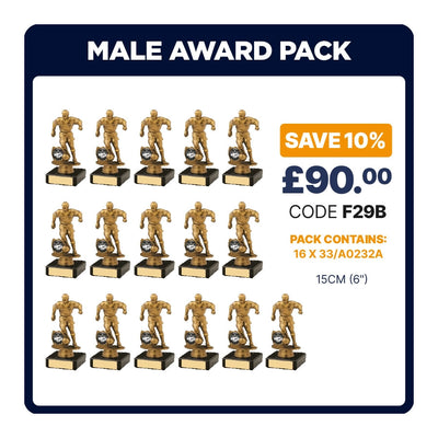 Mens Football Trophies Team Awards Pack of 16