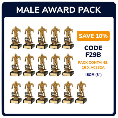 Mens Football Trophies Team Awards Pack of 16