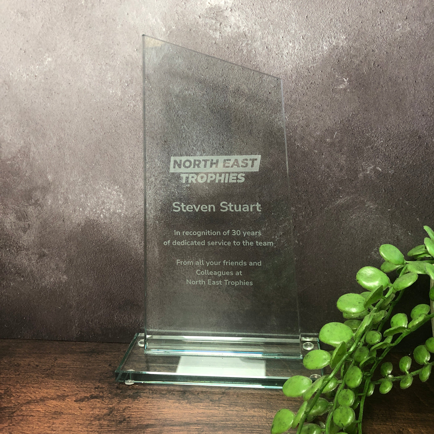 Pointer Glass Plaque Trophy Award