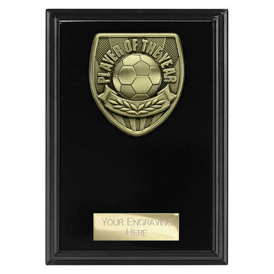 Cobra Plaque Player Of The Year Football Trophy Award Black