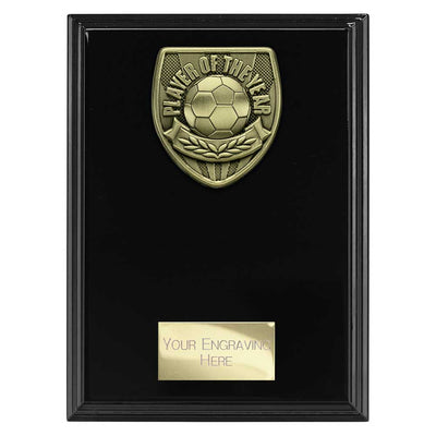 Cobra Plaque Player Of The Year Football Trophy Award Black