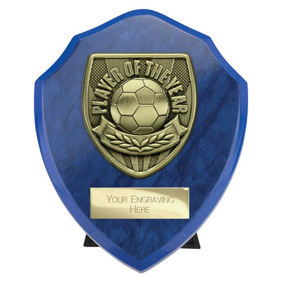 Cobra Plaque Player Of The Year Football Trophy Award Blue