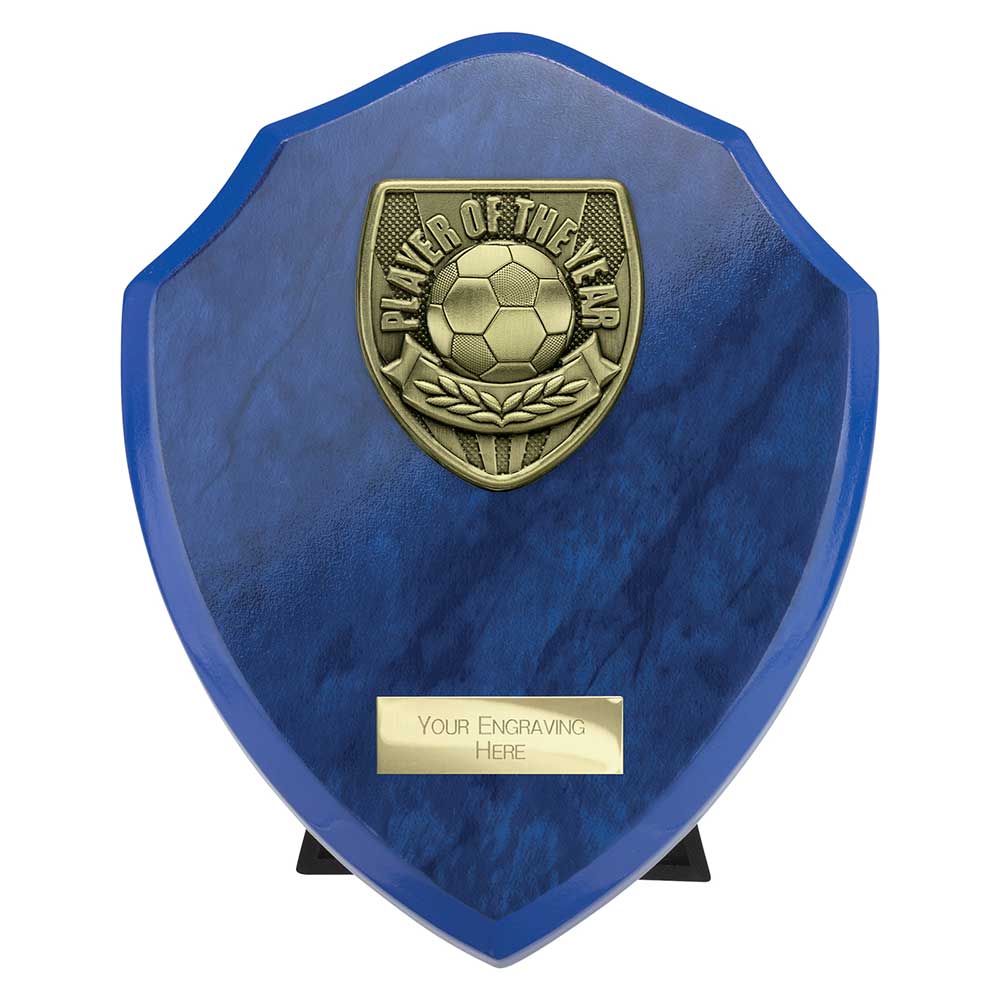 Cobra Plaque Player Of The Year Football Trophy Award Blue