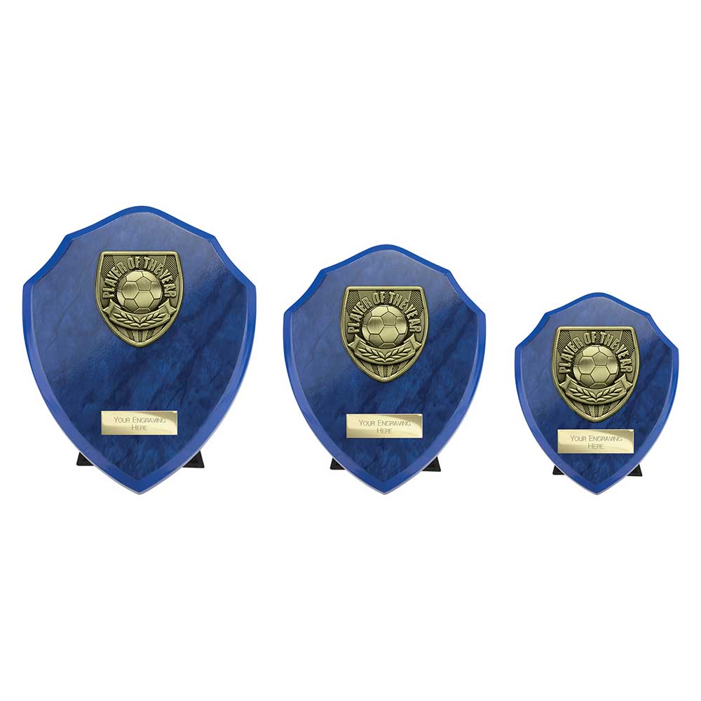 Cobra Plaque Player Of The Year Football Trophy Award Blue