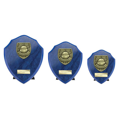 Cobra Plaque Player Of The Year Football Trophy Award Blue