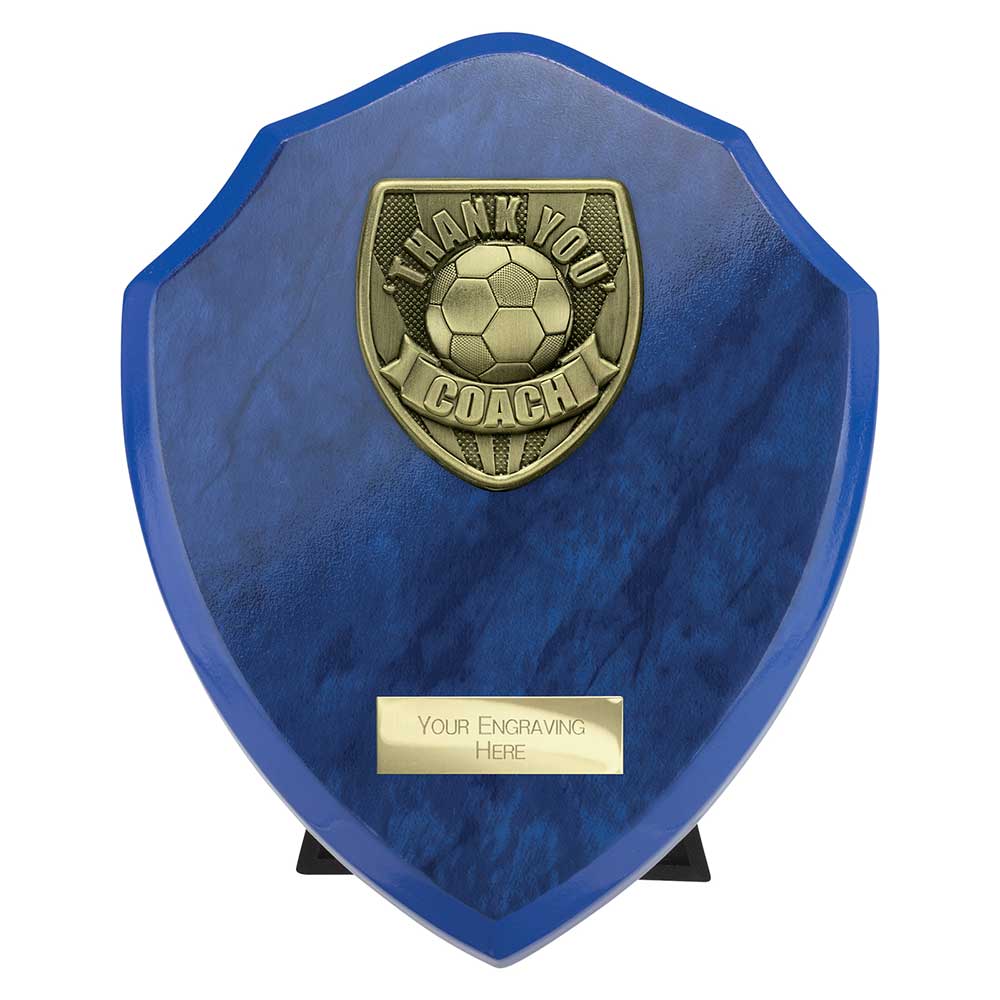 Cobra Plaque Thank You Coach Football Trophy Award Blue