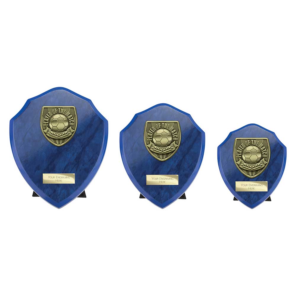 Cobra Plaque Player Of The Match Football Trophy Award Blue