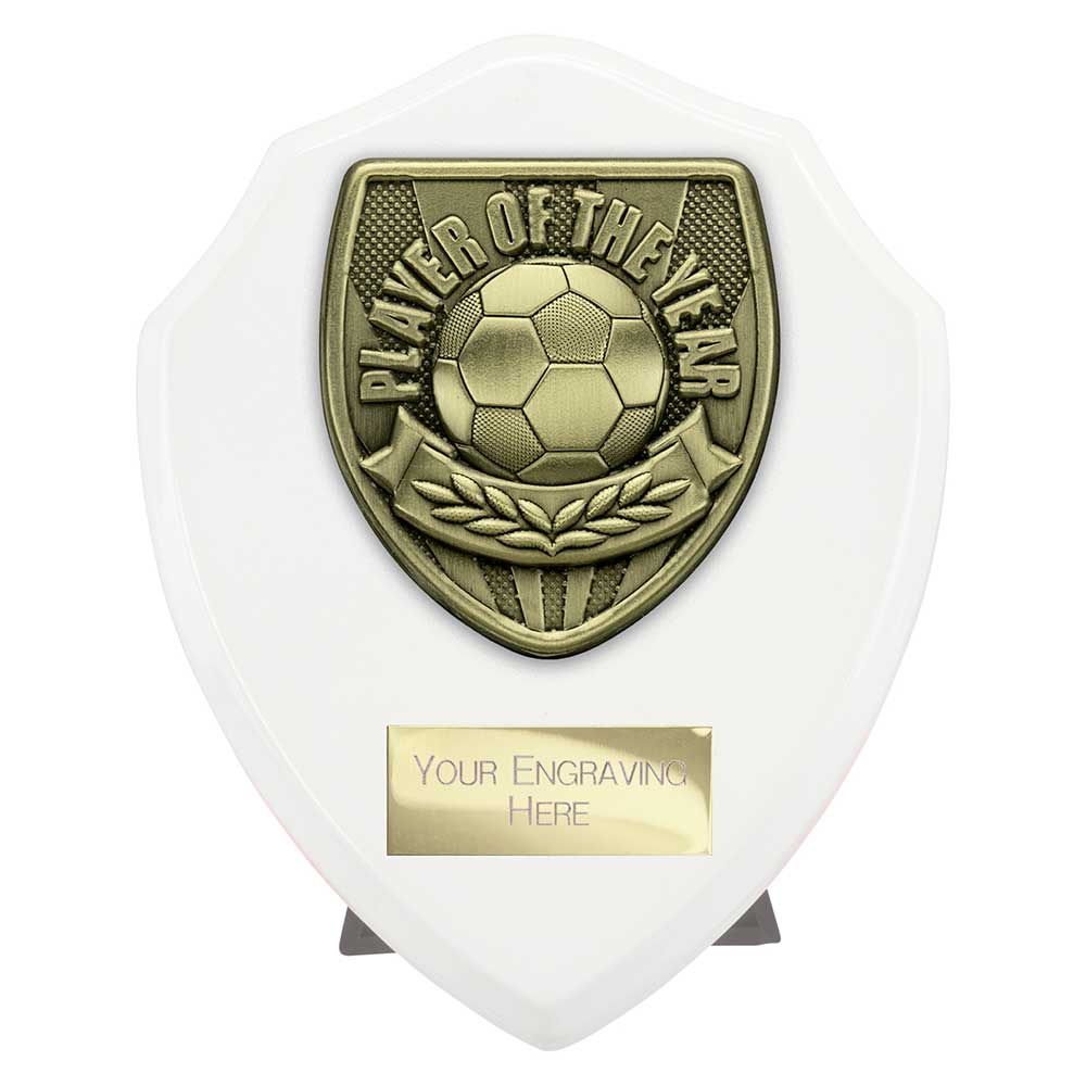 Cobra Plaque Player Of The Year Football Trophy Award White