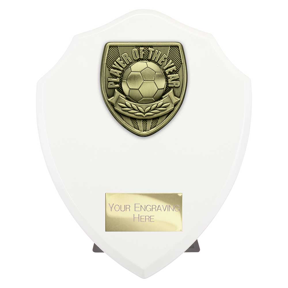 Cobra Plaque Player Of The Year Football Trophy Award White