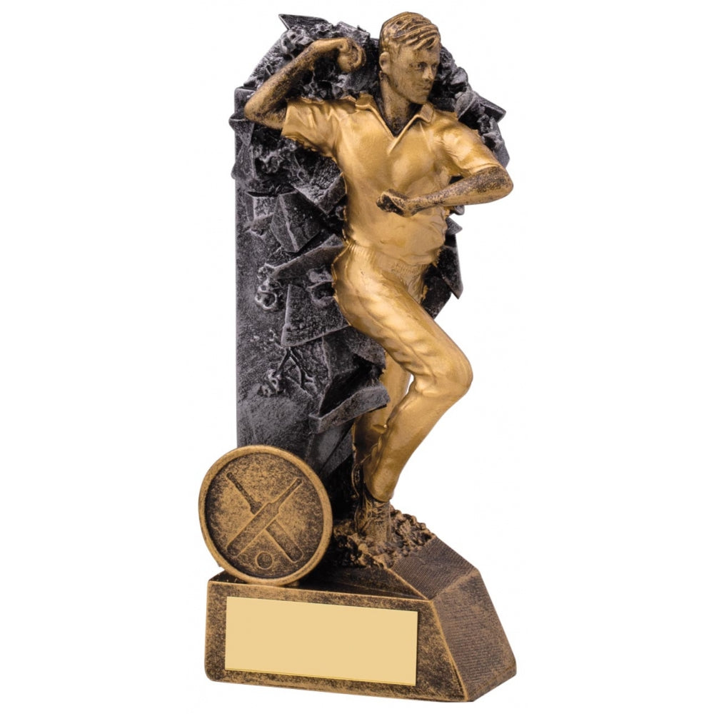 Breakout Cricket Bowler Trophy Award