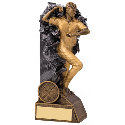 Breakout Cricket Bowler Trophy Award