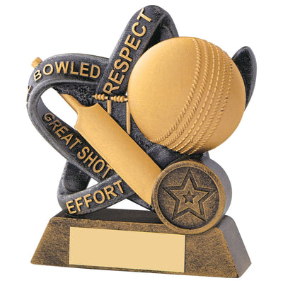 Cricket Values Trophy Infinity Award