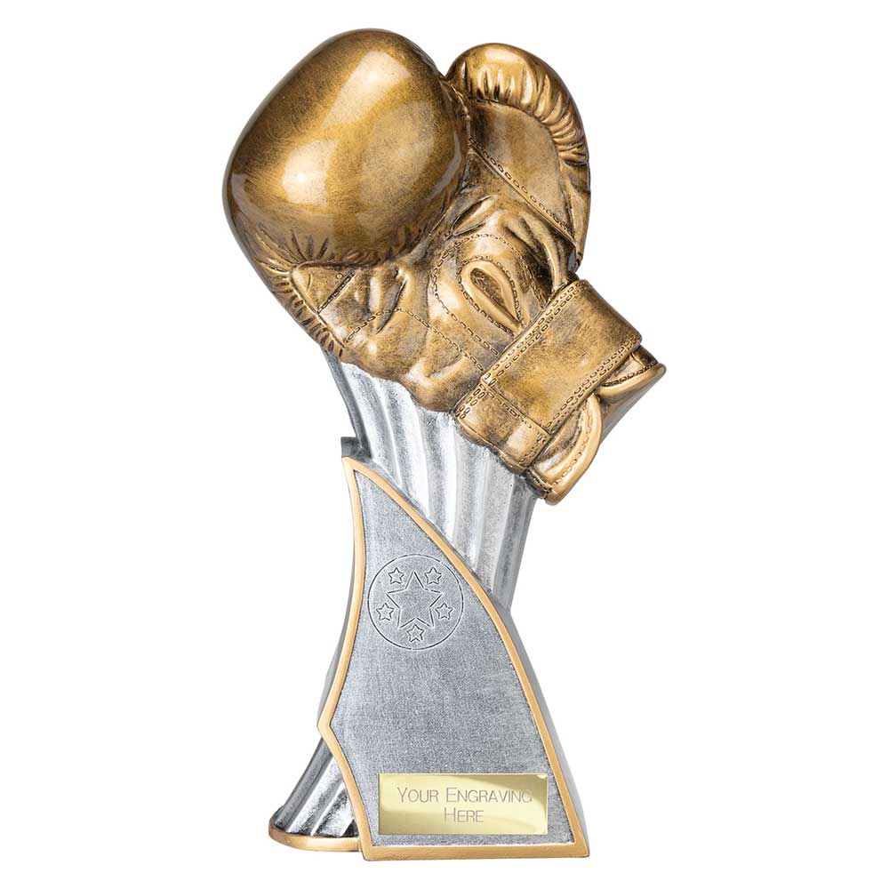 Total Ko Boxing Trophy Award Silver