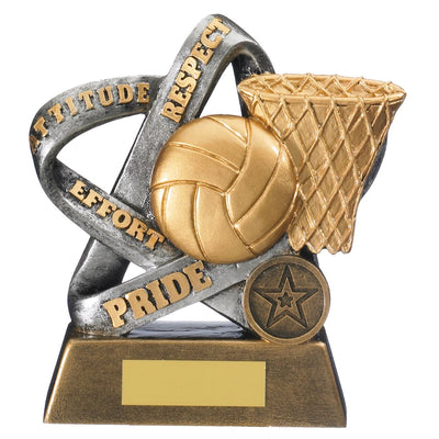 Netball Values Trophy Infinity Award