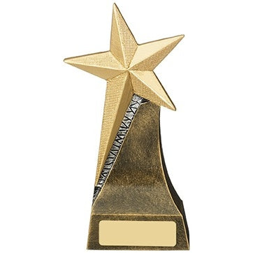 Gold Star Trophy Award