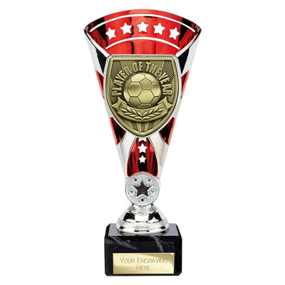 Cobra Star Cup Player Of The Year Football Trophy Award 6 Colours