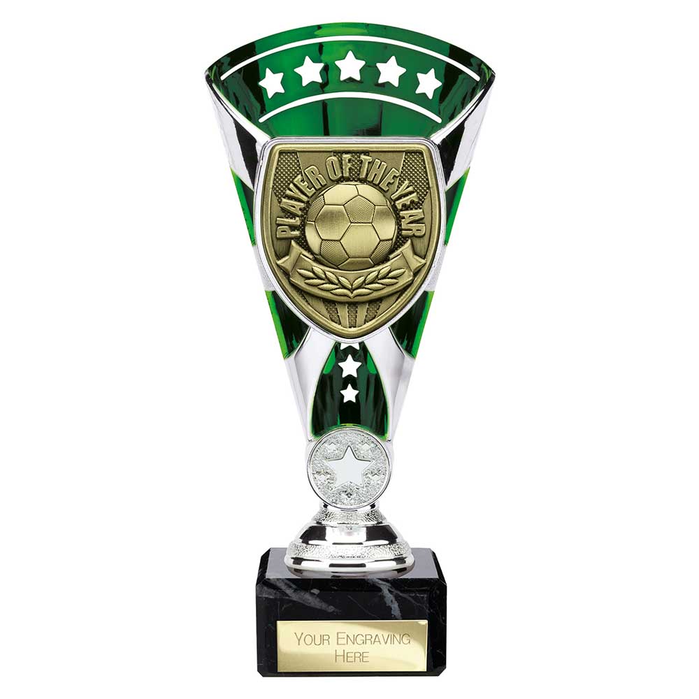 Cobra Star Cup Player Of The Year Football Trophy Award 6 Colours