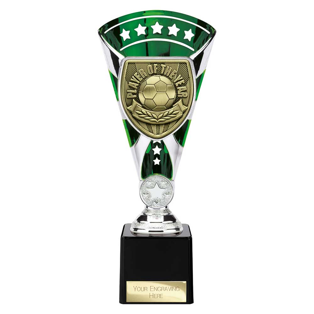 Cobra Star Cup Player Of The Year Football Trophy Award 6 Colours