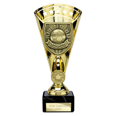 Cobra Star Cup Player Of The Year Football Trophy Award 6 Colours