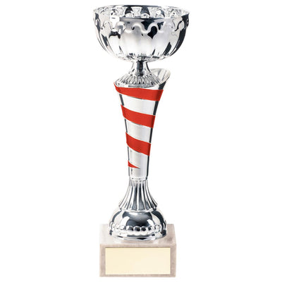 Eternity Silver And Red Trophy Cup