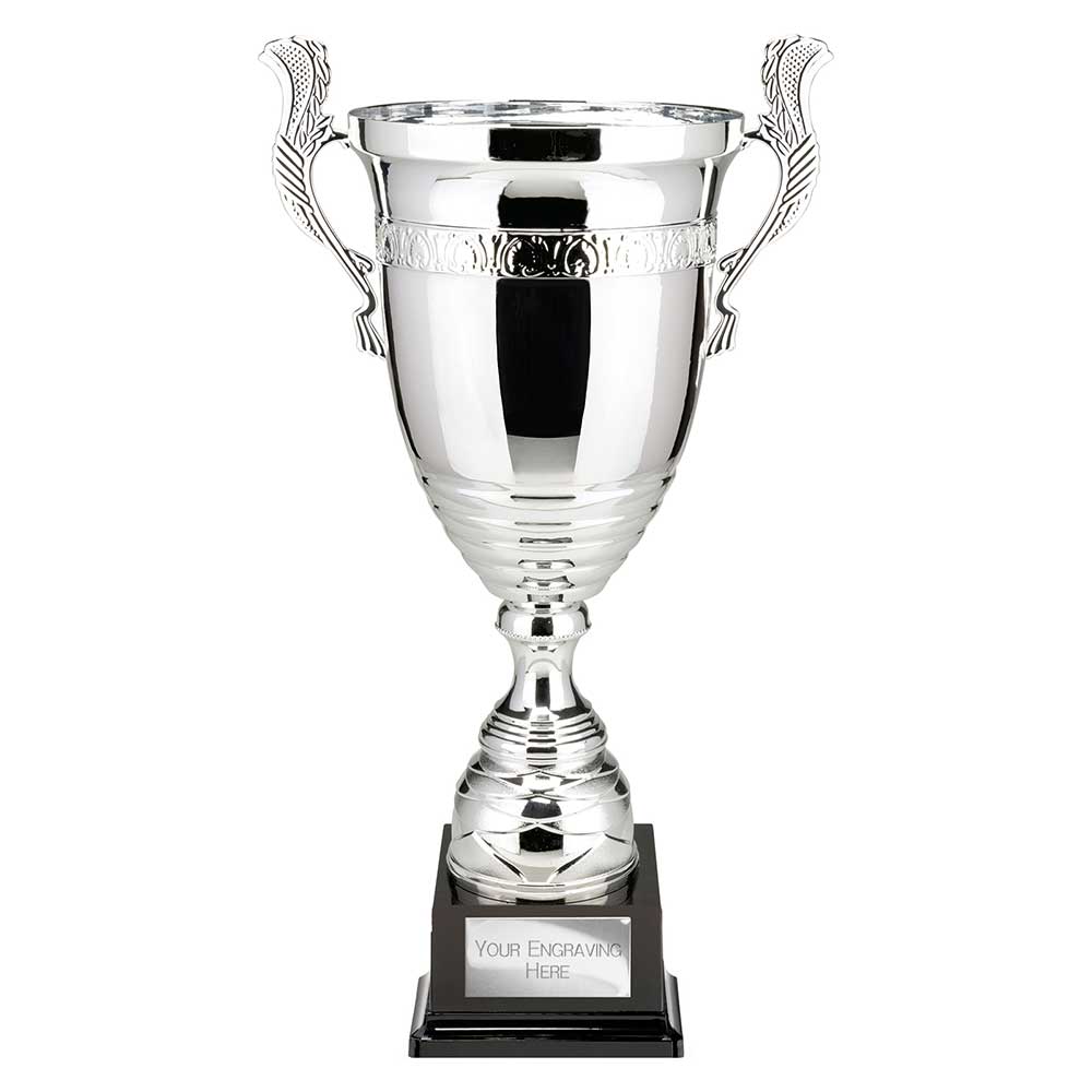 Endeavour Super Cup Trophy