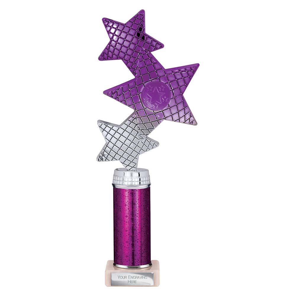 Trinity Star Multisport Tube Trophy Purple Silver