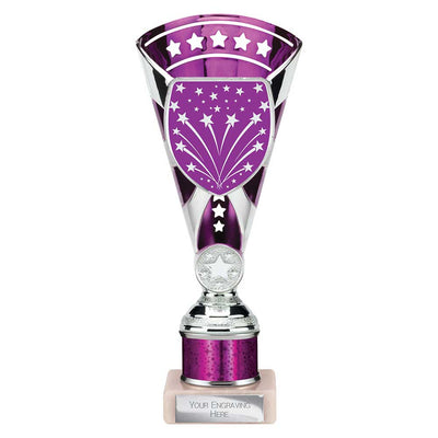 Cobra Star Multisport Tube Trophy Silver Purple