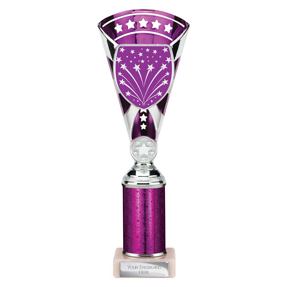 Cobra Star Multisport Tube Trophy Silver Purple