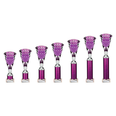 Cobra Star Multisport Tube Trophy Silver Purple