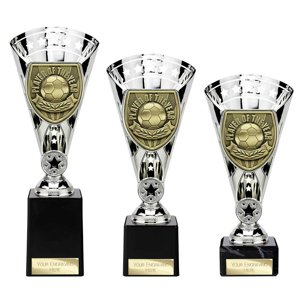 Cobra Star Cup Player Of The Year Football Trophy Award 6 Colours