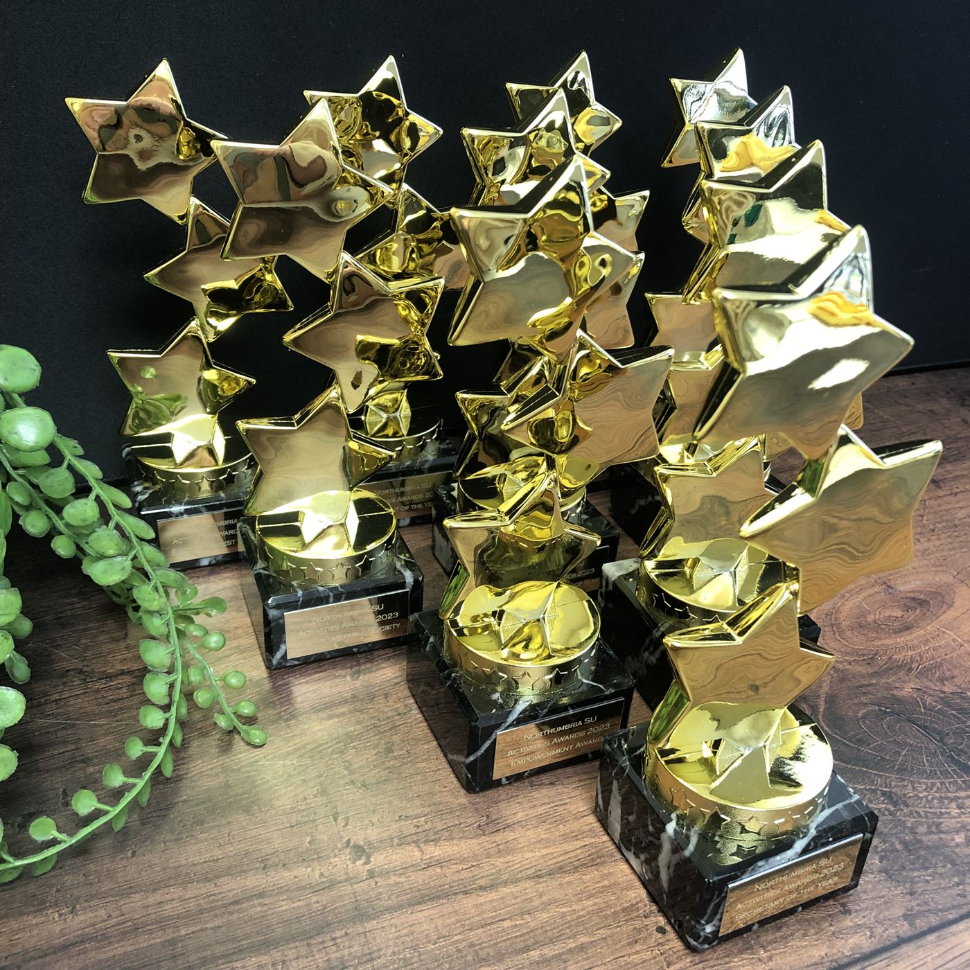 Gold Star Trophy Hope Stars Award