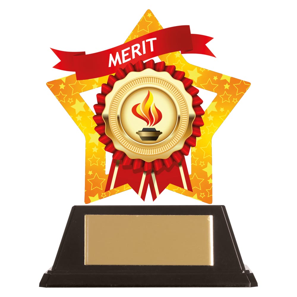 Merit Trophy Mini Star Acrylic Plaque