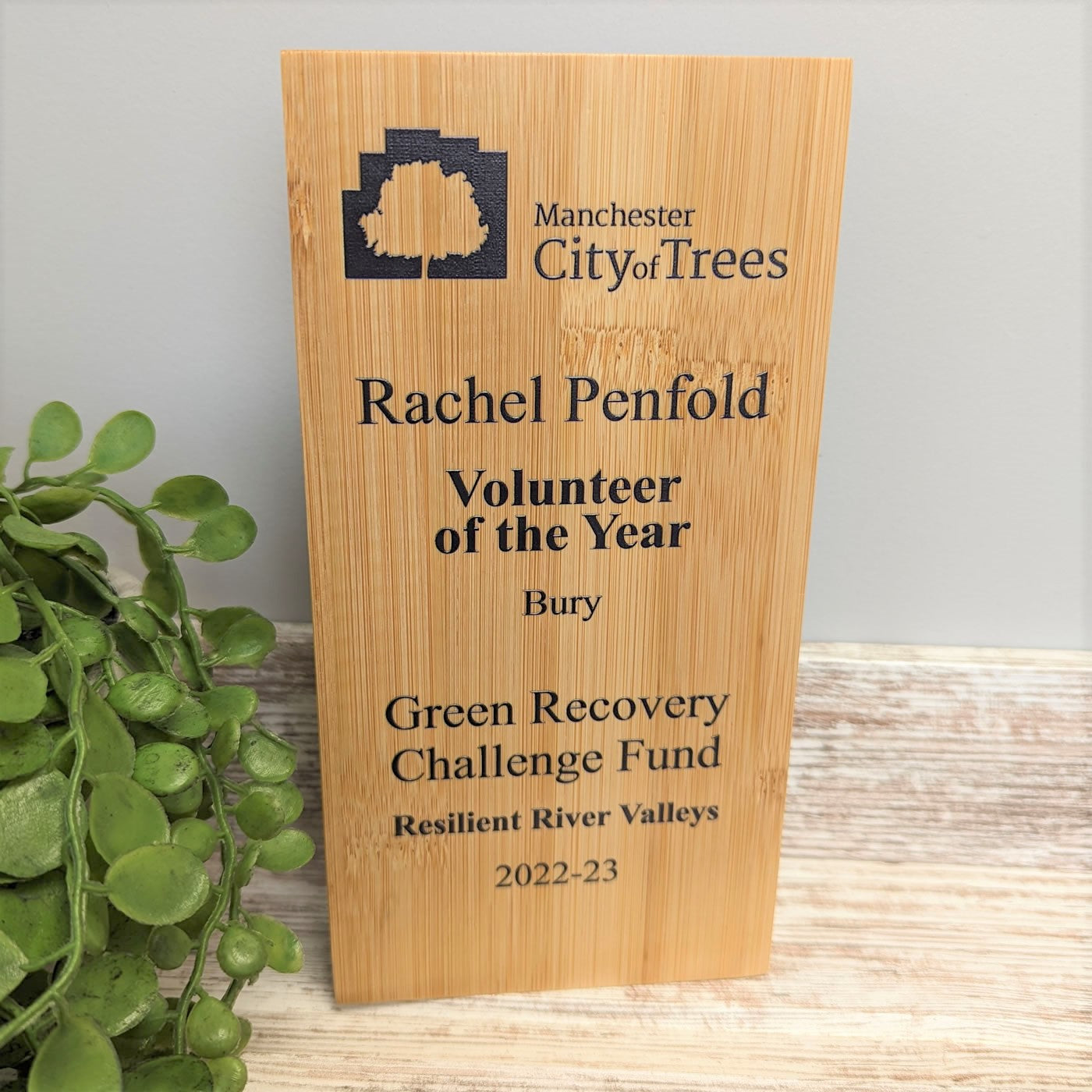 Bamboo Wooden Block Award - Large - Colour Printed