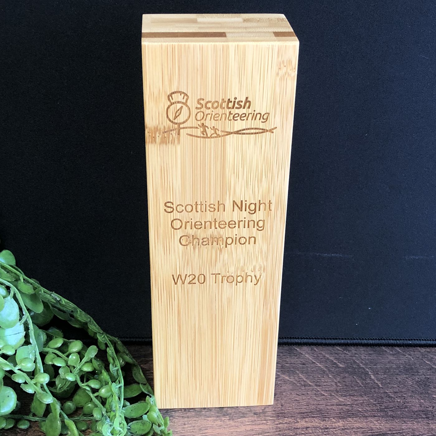 Bamboo Wooden Pillar Award - Large - Laser Engraved