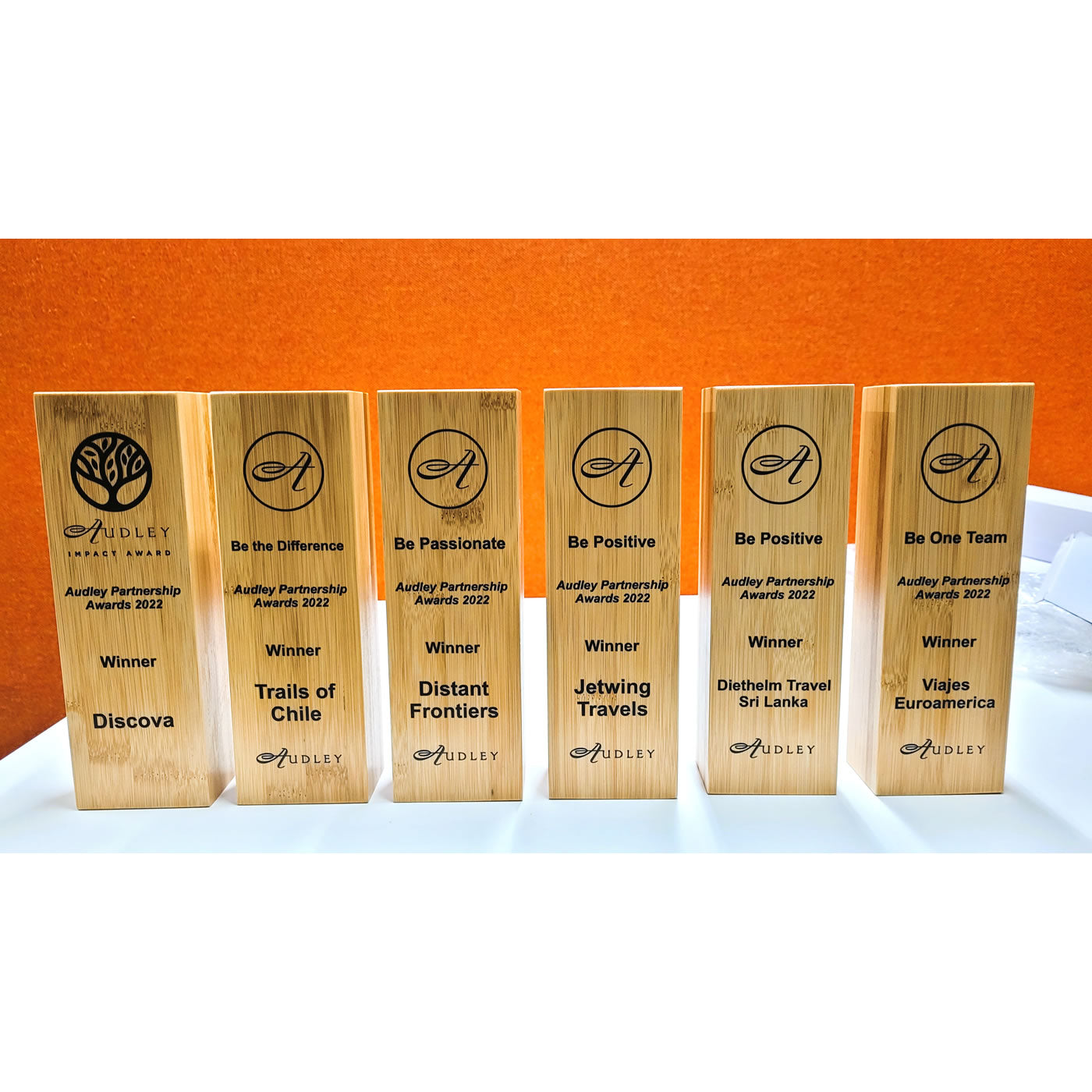 Bamboo Wooden Pillar Award - Large - Colour Printed