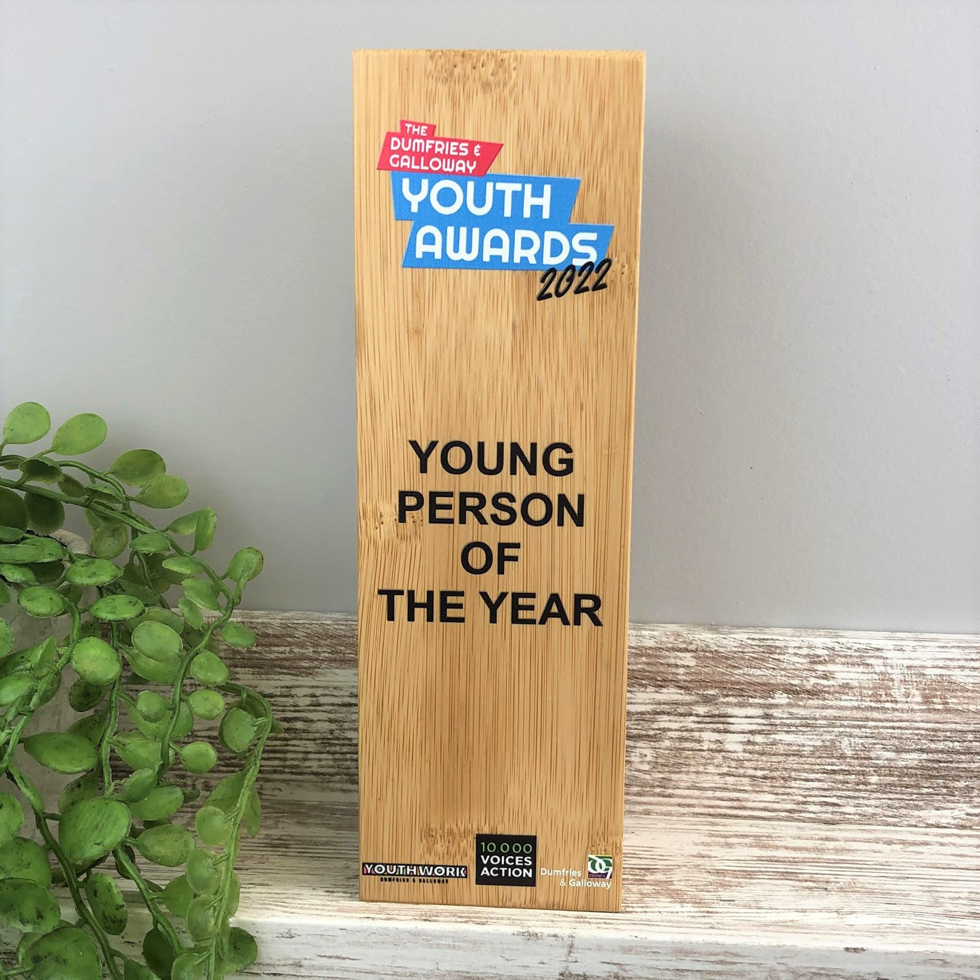 Bamboo Wooden Pillar Award - Large - Colour Printed