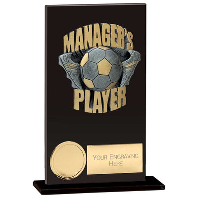 Euphoria Hero Managers Player Award Trophy