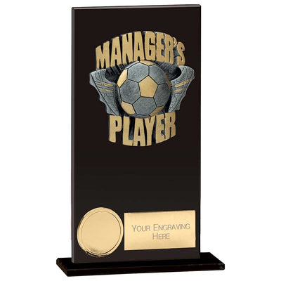 Euphoria Hero Managers Player Award Trophy