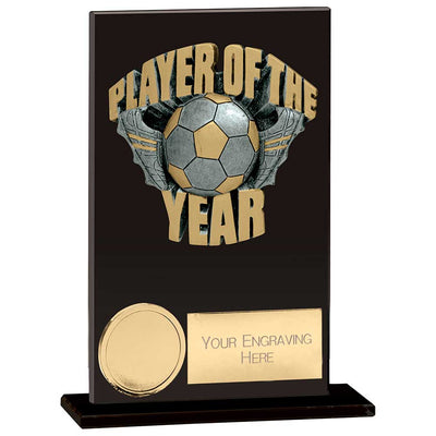 Euphoria Hero Player Of Year Glass Award Trophy