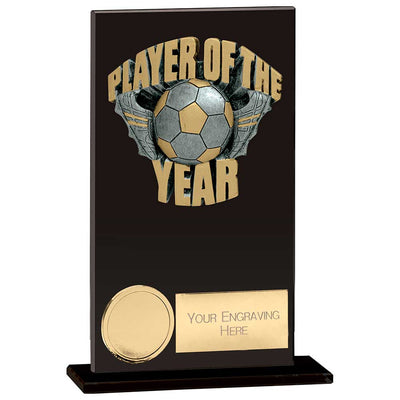 Euphoria Hero Player Of Year Glass Award Trophy